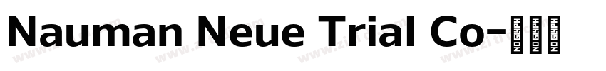 Nauman Neue Trial Co字体转换